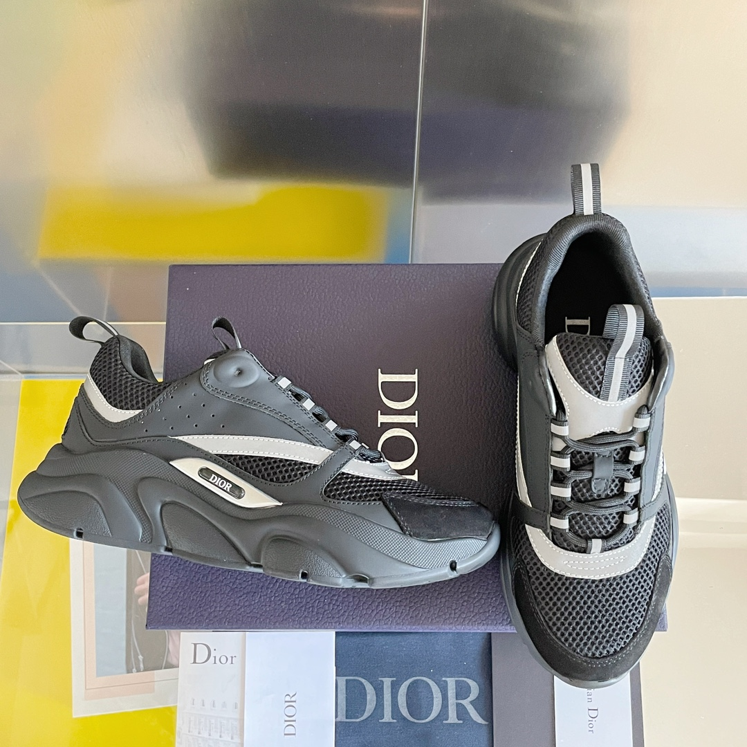 Dior B22